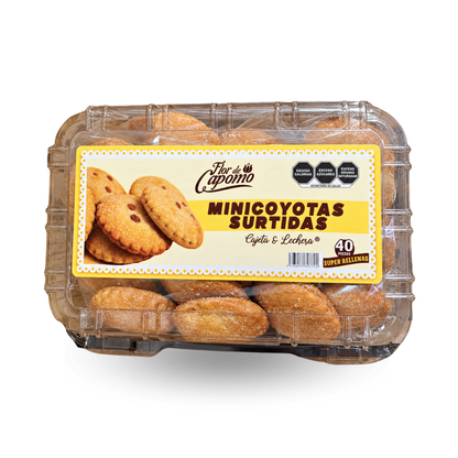 Mini Coyotas Surtidas 40 piezas